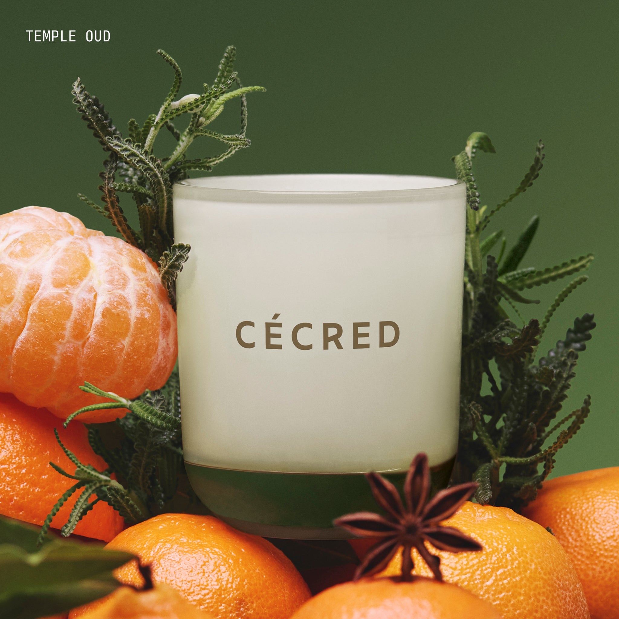 Limited Edition Candle Set