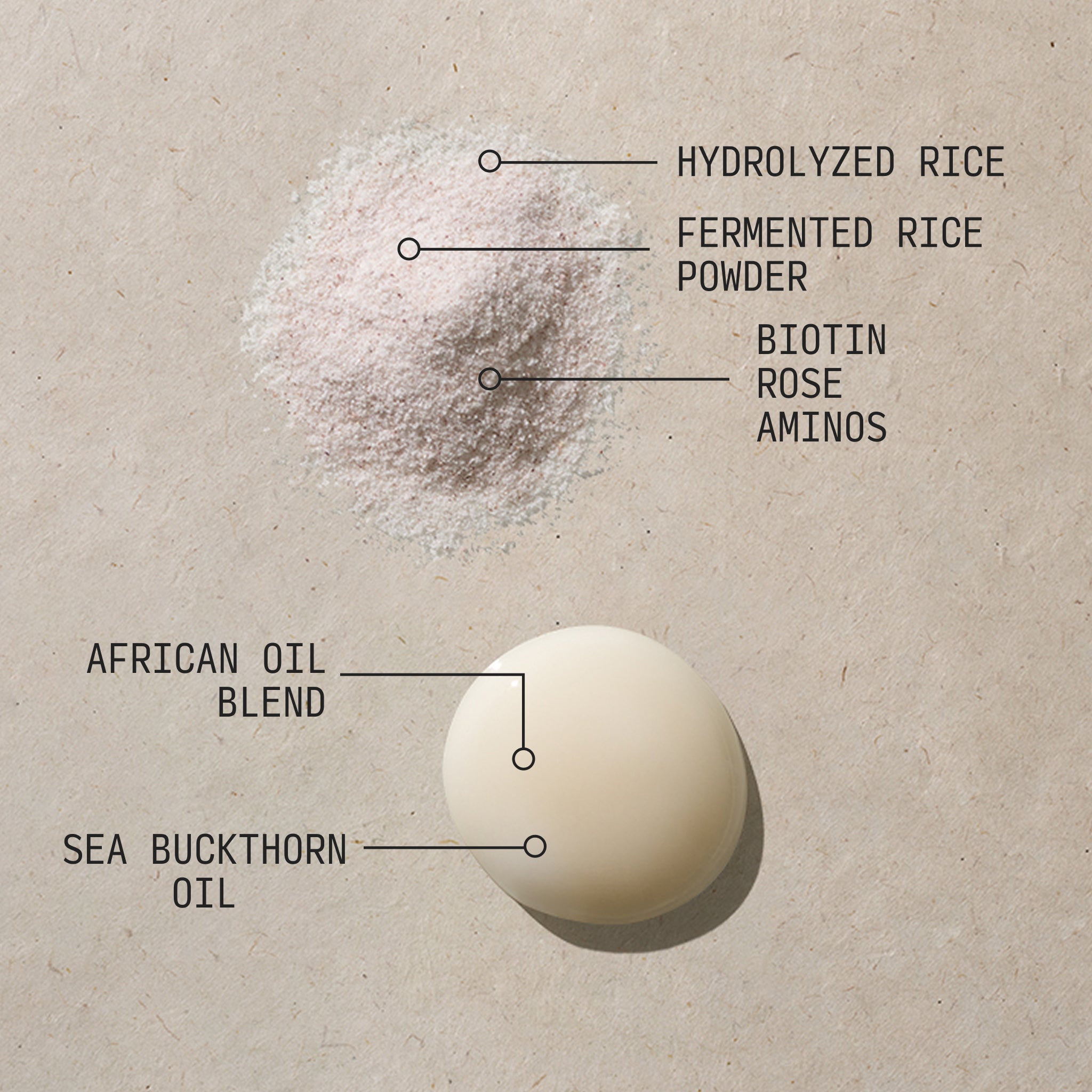 Fermented Rice and Rose Bundle
